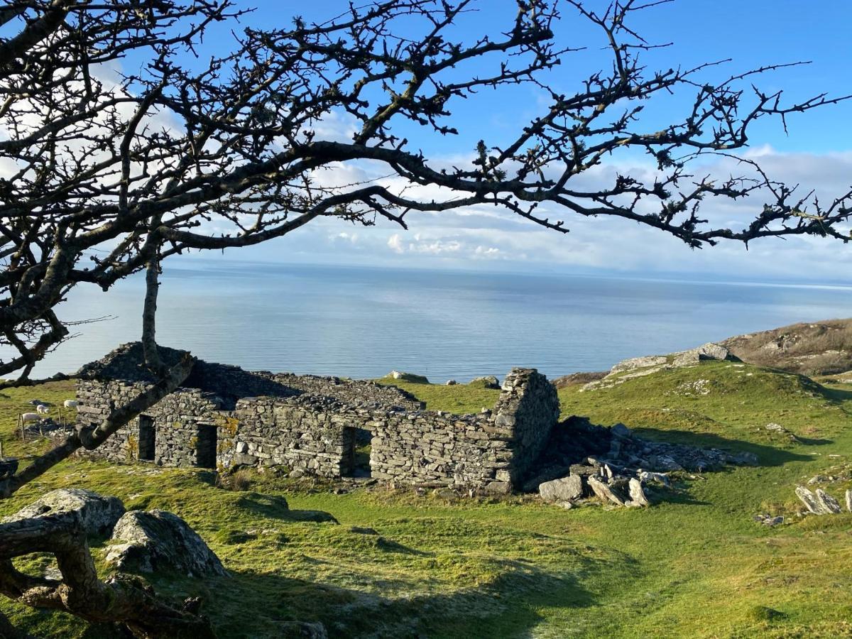 Oceandrive Bed & Breakfast Barmouth Dış mekan fotoğraf