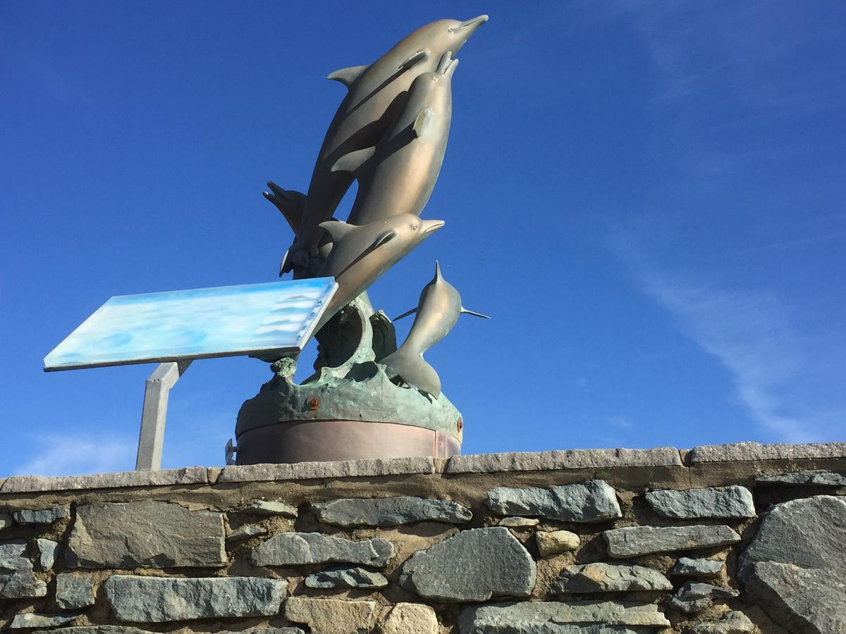 Oceandrive Bed & Breakfast Barmouth Dış mekan fotoğraf